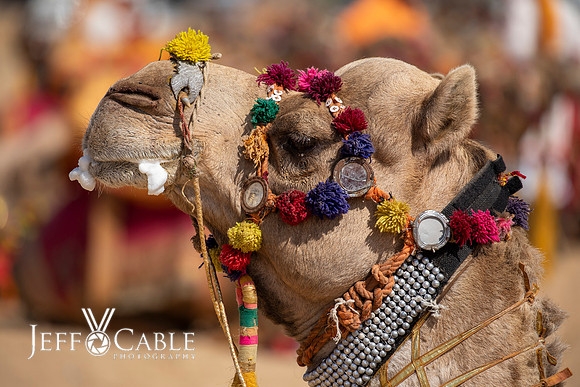 Edit-India-Photo-Tour1-3497