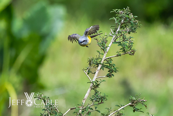 Costa Rica Photo Tours