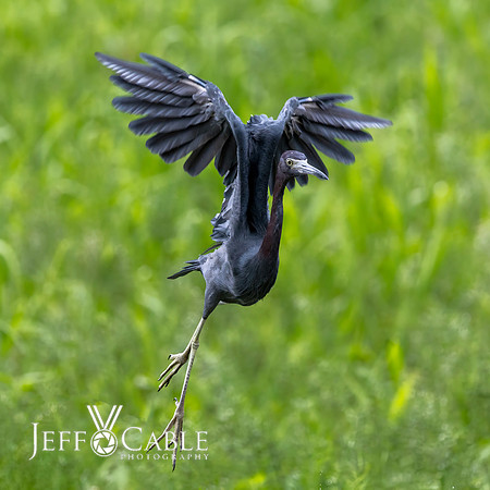 Costa Rica Photo Tours