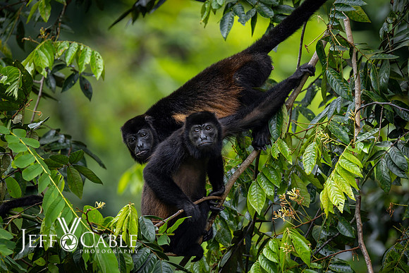 Costa Rica Photo Tours