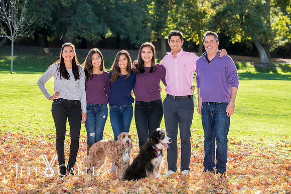 Bay Area Family Portraits