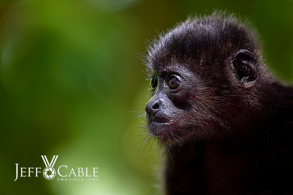 Costa Rica Photo Tours