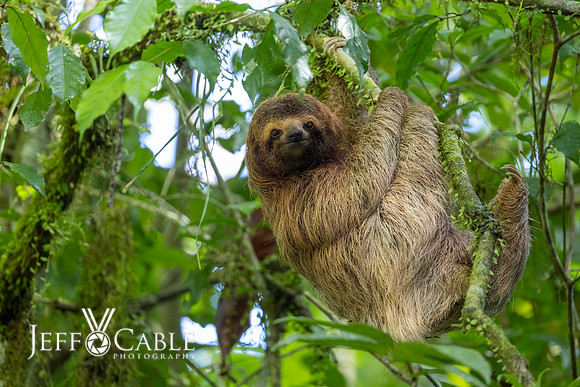 Costa Rica Photo Tours