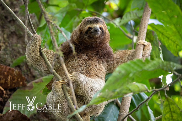 Costa Rica Photo Tours