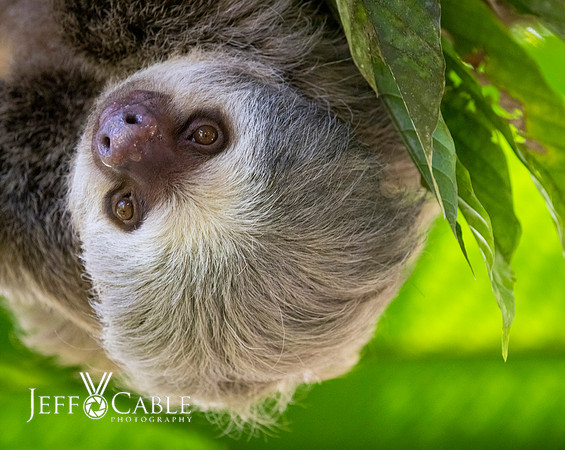 Costa Rica Photo Tours