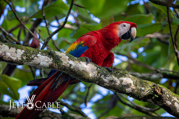 Costa Rica Photo Tours