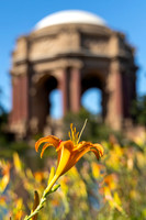 San Francisco City