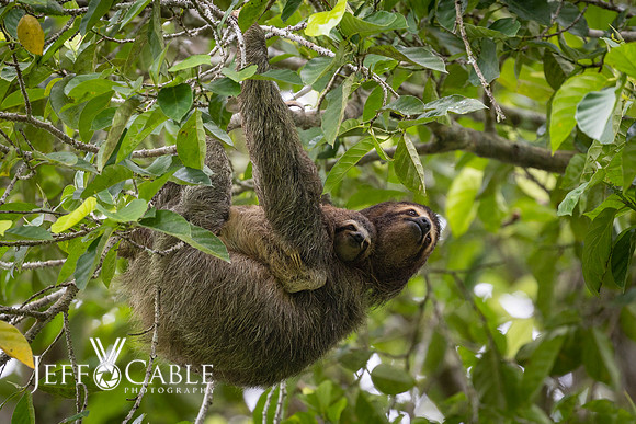 Costa Rica Photo Tours