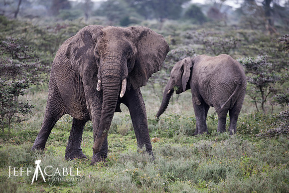 Edit_Tanzania_2016_3925