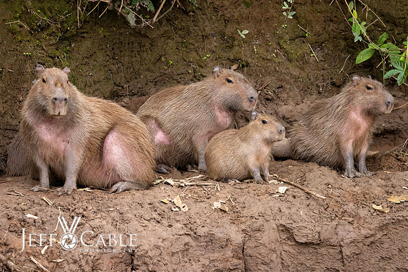 Peru Photo Tour