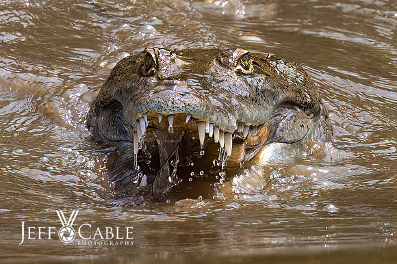 Costa Rica Photo Tours