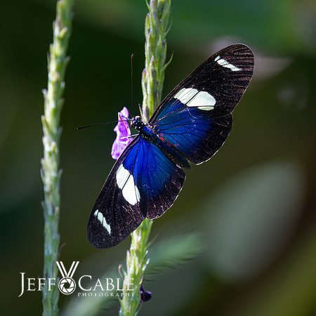 Peru Photo Tour