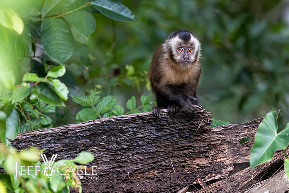 Peru Photo Tour