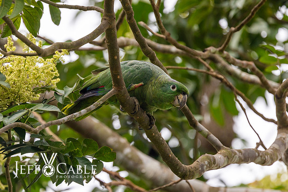 Peru Photo Tour