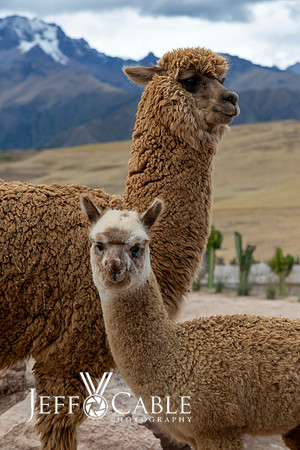 Peru Photo Tour