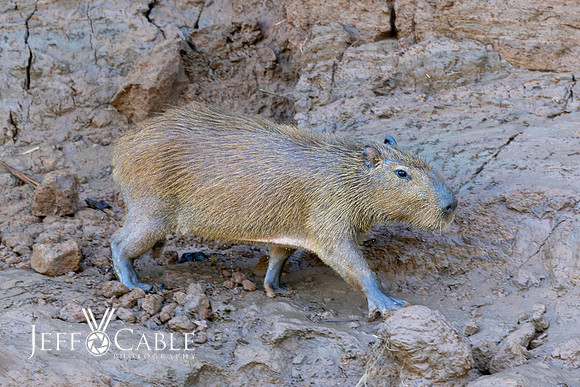 Peru Photo Tour