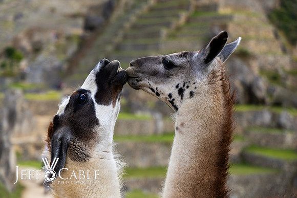Peru Photo Tour