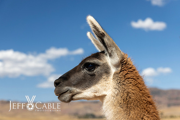 Peru Photo Tour
