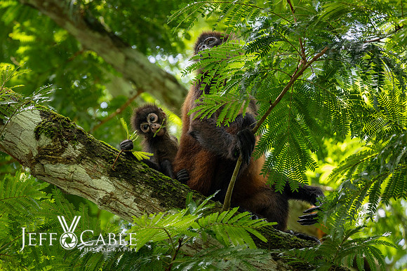 Costa Rica Photo Tours