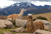 Peru Photo Tour