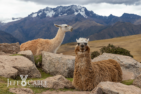 Peru Photo Tour