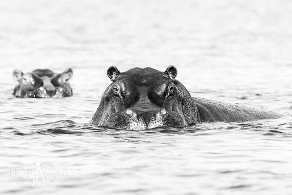 Edit-Botswana-2021-2396