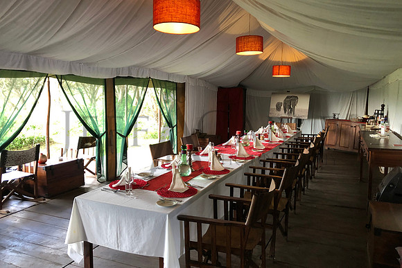 Tent-Meals