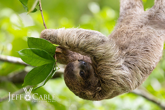 Costa Rica Photo Tours
