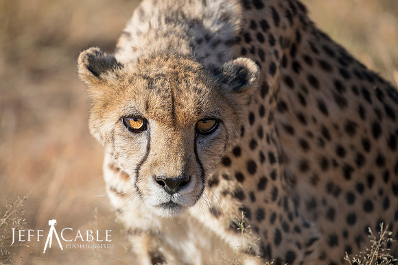 Edit_Namibia_Tour_2018_0204