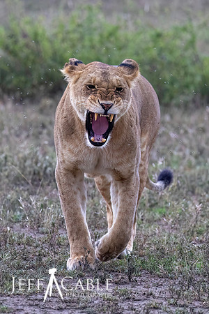 Edit-Tanzania2023-2309