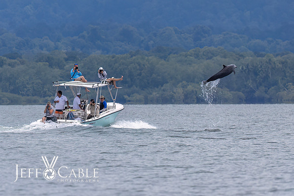 Costa Rica Photo Tours