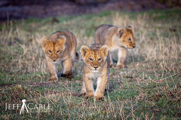 Edit-Tanzania-Tour-2021-2345