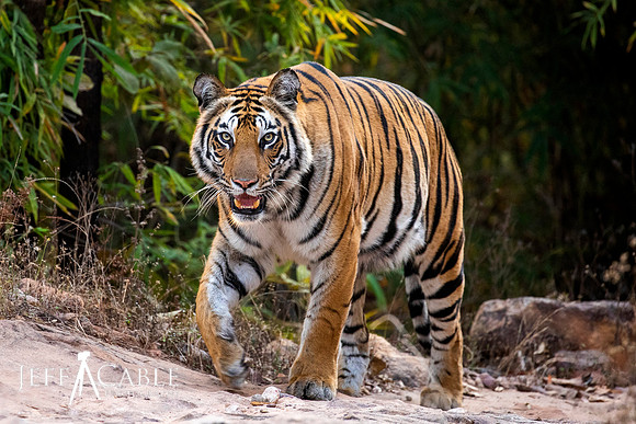 Edit-India-Photo-Tour1-1229