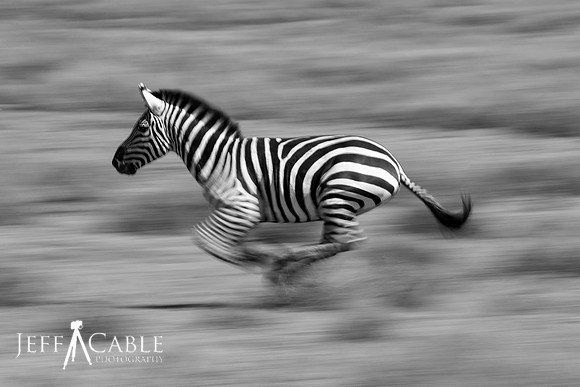 Edit__Tanzania_2017_2019A_BW