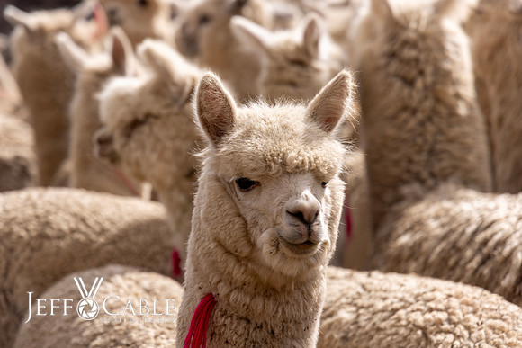 Peru Photo Tour