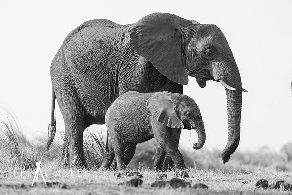 Edit-Botswana-2021-3013