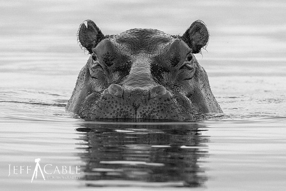 Edit-Botswana-2021-1587-BW