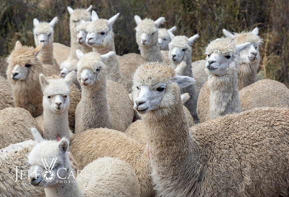 Peru Photo Tour
