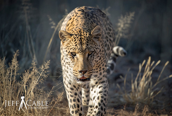 Edit_Namibia_Tour_2018_0408