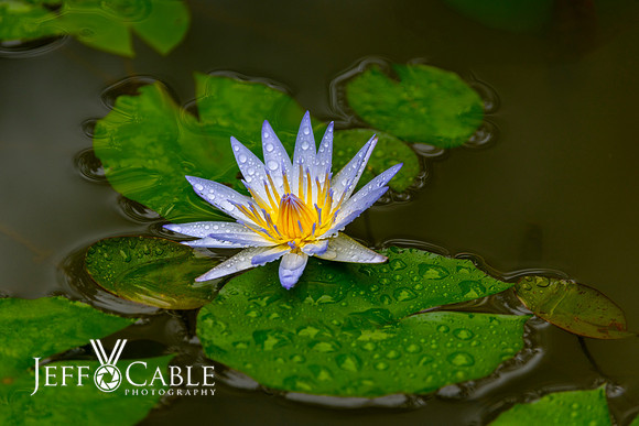 Costa Rica Photo Tours