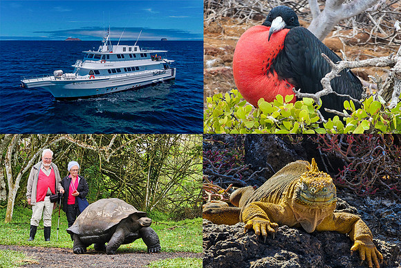 Edit-Galapagos-Photo-Tour-Montage2