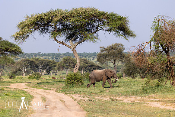 Edit-Tanzania2023-0166