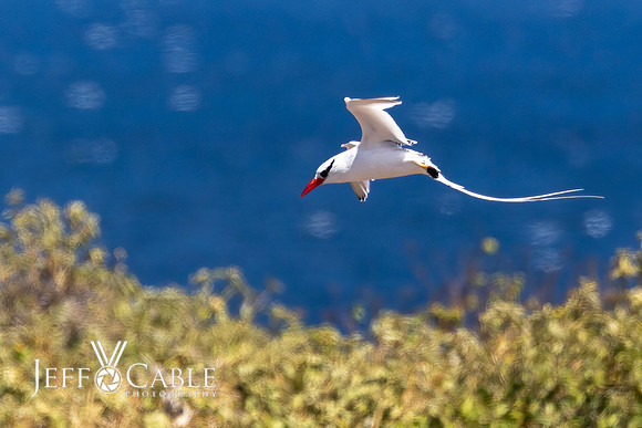 Edit-Galapagos-Photo-Tour#2-3346