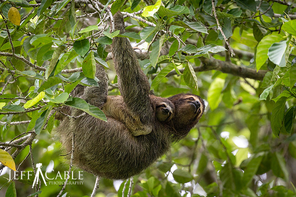 Edit-Costa-Rica-2022-1698