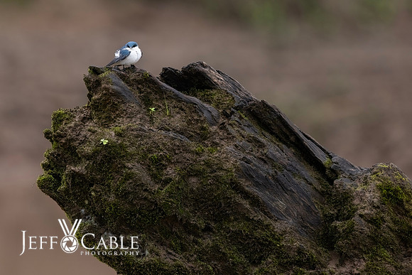 Peru Photo Tour
