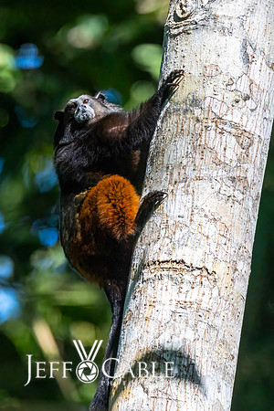 Peru Photo Tour