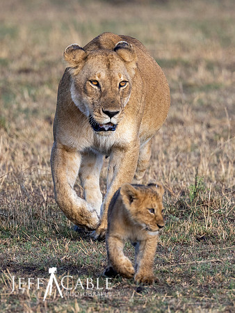 Edit-Tanzania-Tour-2021-2396