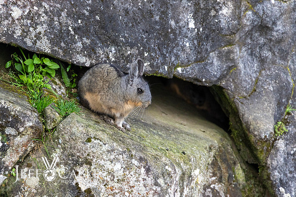 Peru Photo Tour
