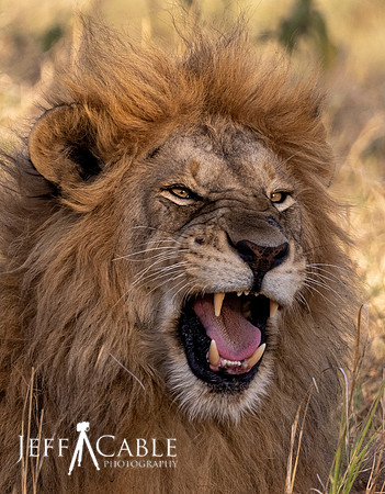Edit-Tanzania-Tour-2021-3861
