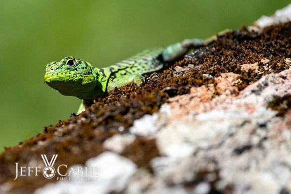 Peru Photo Tour